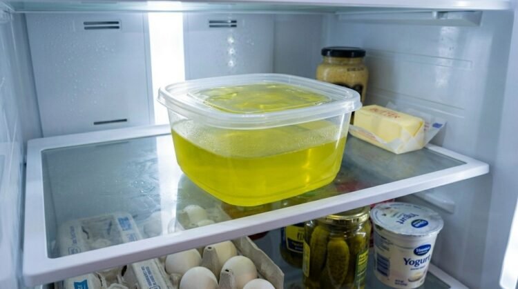 Levar a gelatina para bariátrica para a geladeira